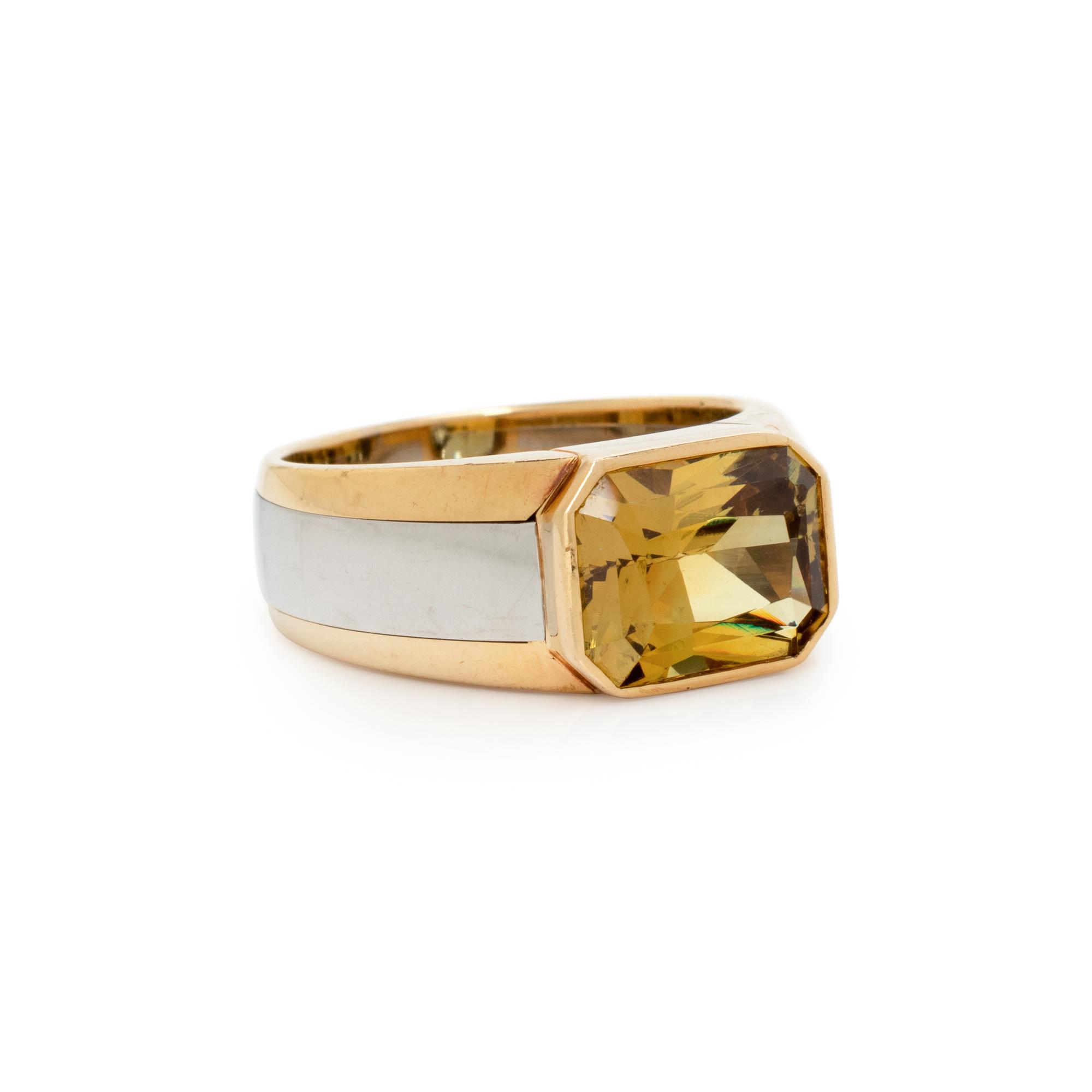 THOMAS LEYSER, MALI GARNET, YELLOW GOLD, AND PLATINUM RING