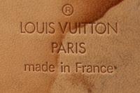 Louis Vuitton Pégase 65 Suitcase