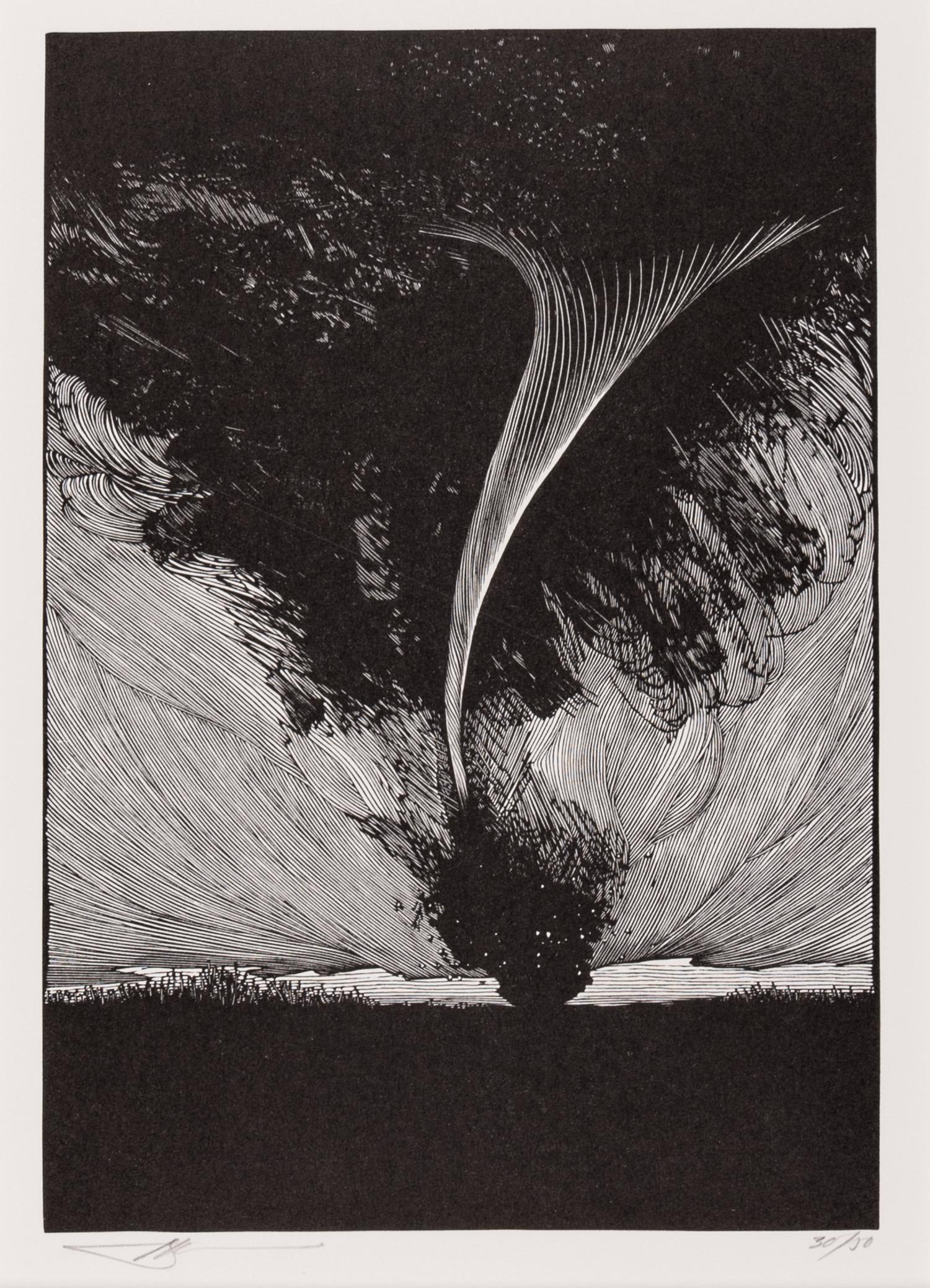[MOSER, Barry, illustrator]. A group of 4 wood-engraved plates for the Pennyroyal Press edition The Wonderful Wizard of Oz . [West Hatfield, MA: Pennyroyal Press, 1985].
