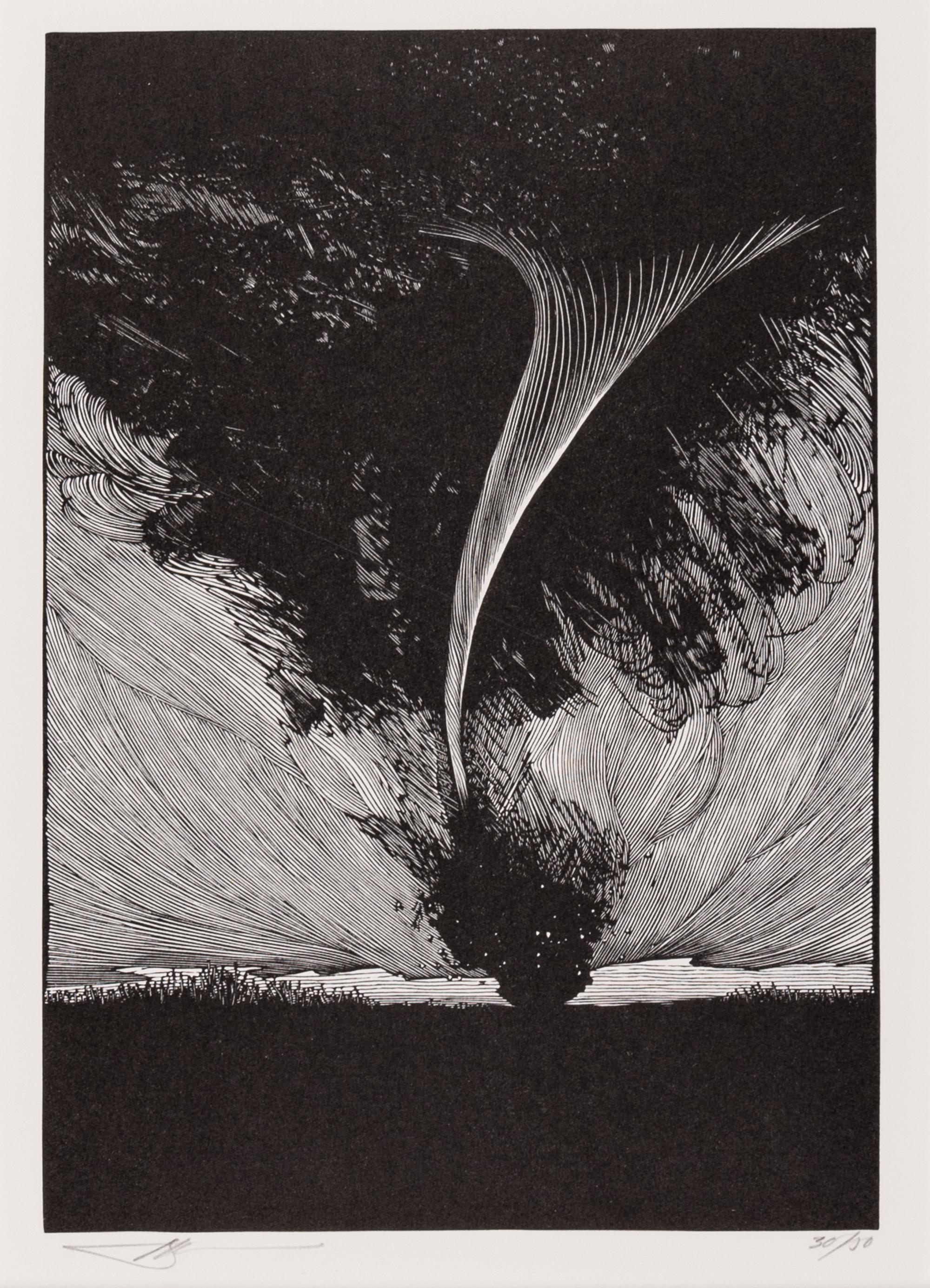 [MOSER, Barry, illustrator]. A group of 4 wood-engraved plates for the Pennyroyal Press edition The Wonderful Wizard of Oz . [West Hatfield, MA: Pennyroyal Press, 1985].