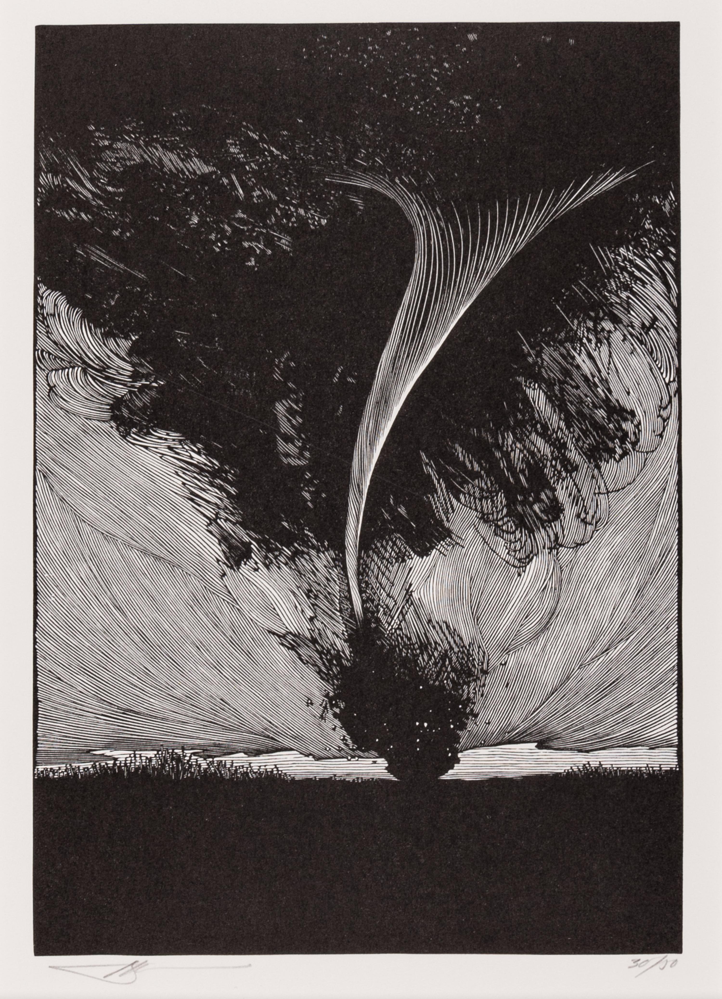 [MOSER, Barry, illustrator]. A group of 4 wood-engraved plates for the Pennyroyal Press edition The Wonderful Wizard of Oz . [West Hatfield, MA: Pennyroyal Press, 1985].