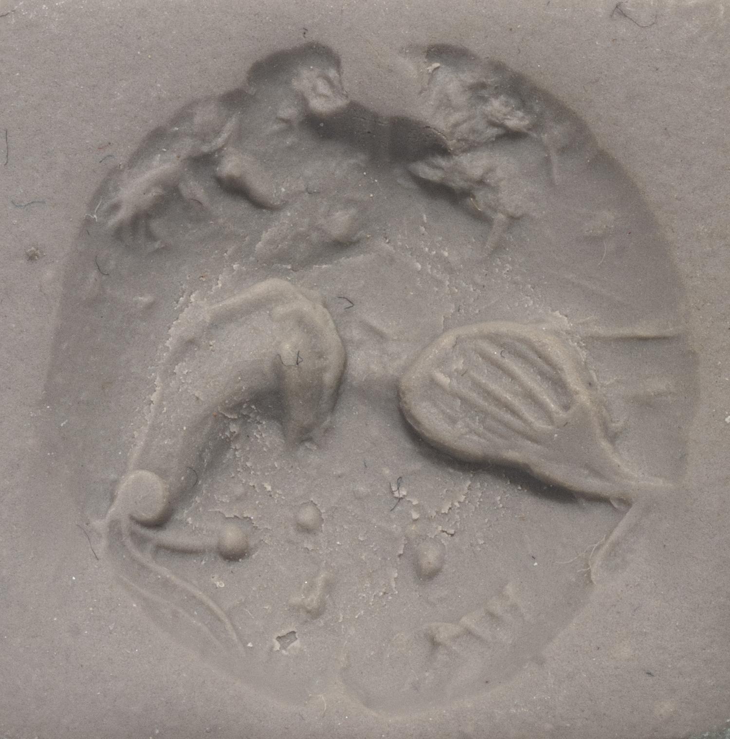 A Minoan Black Steatite Lentoid with a Bull Head and Leaf.