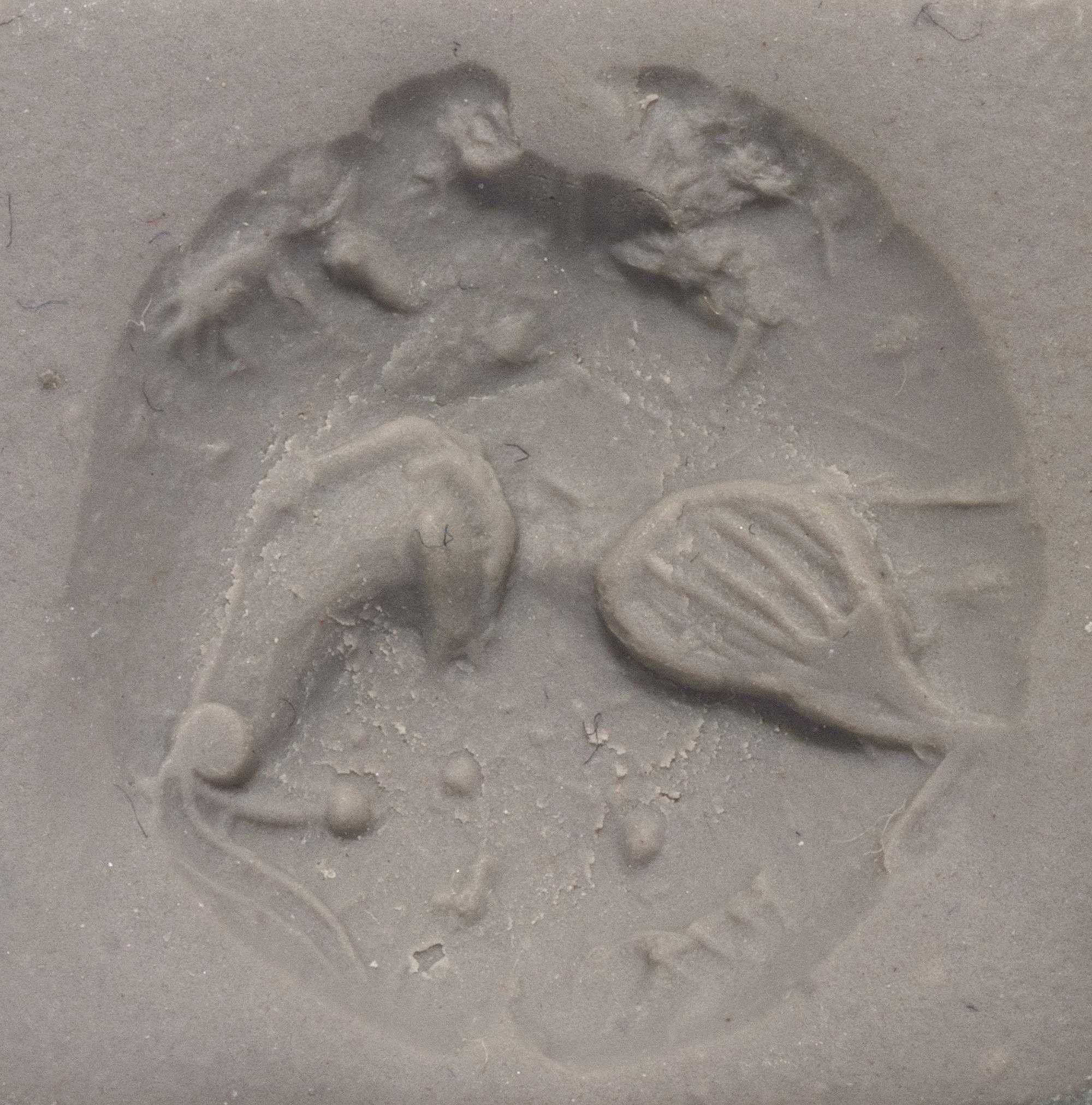 A Minoan Black Steatite Lentoid with a Bull Head and Leaf.