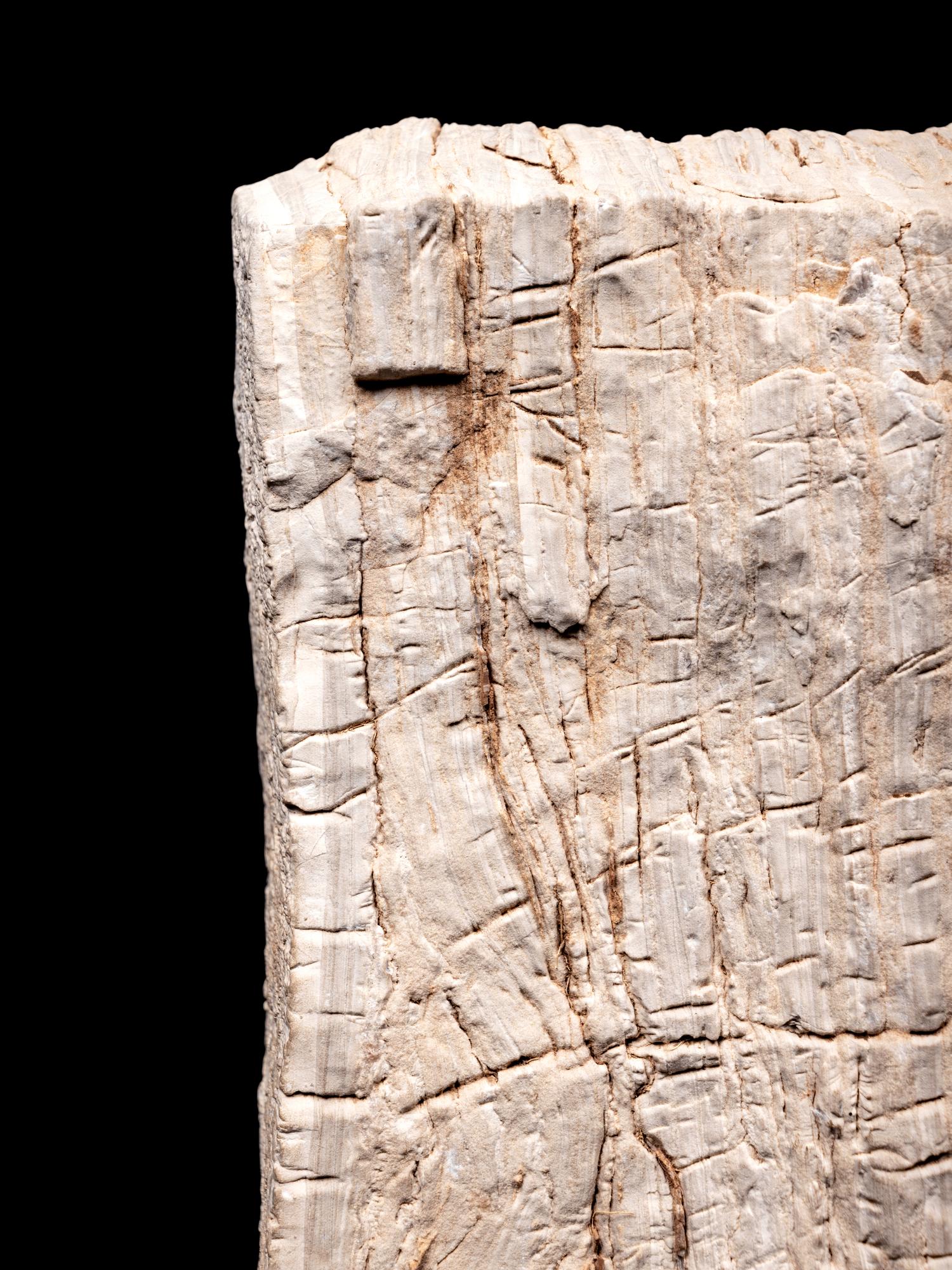 Five Chinese Scholar's Rocks