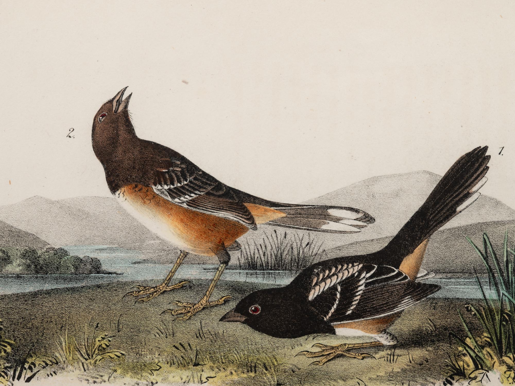 AUDUBON, John James (1785-1852) et al, after A group of 10 octavo-format prints, comprising: