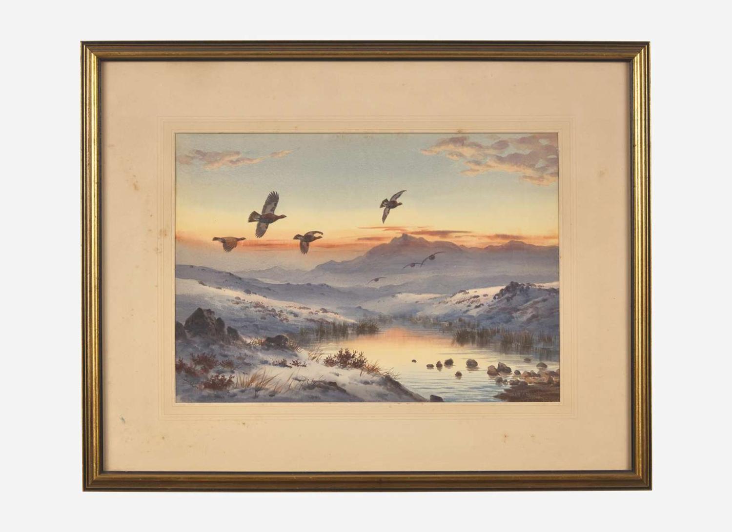 Sunset and Snow