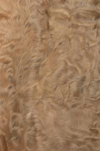 Beige Sheared Lambswool Fur Coat, 1920s