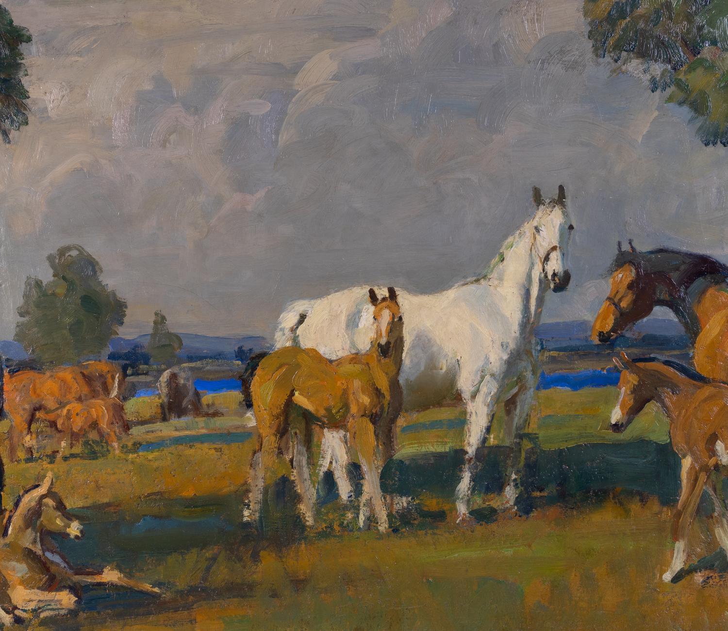 Taos Pastures