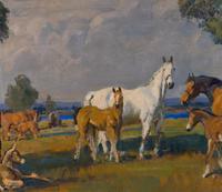 Taos Pastures