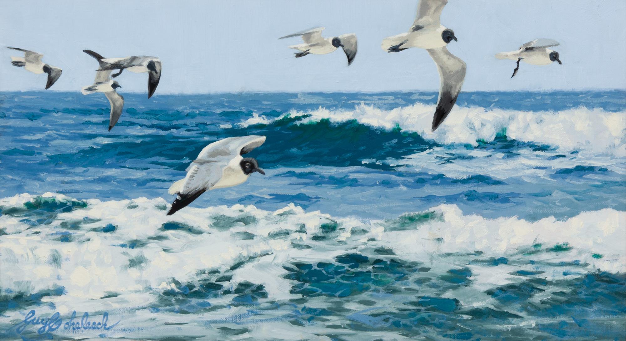 Cruising Gulls