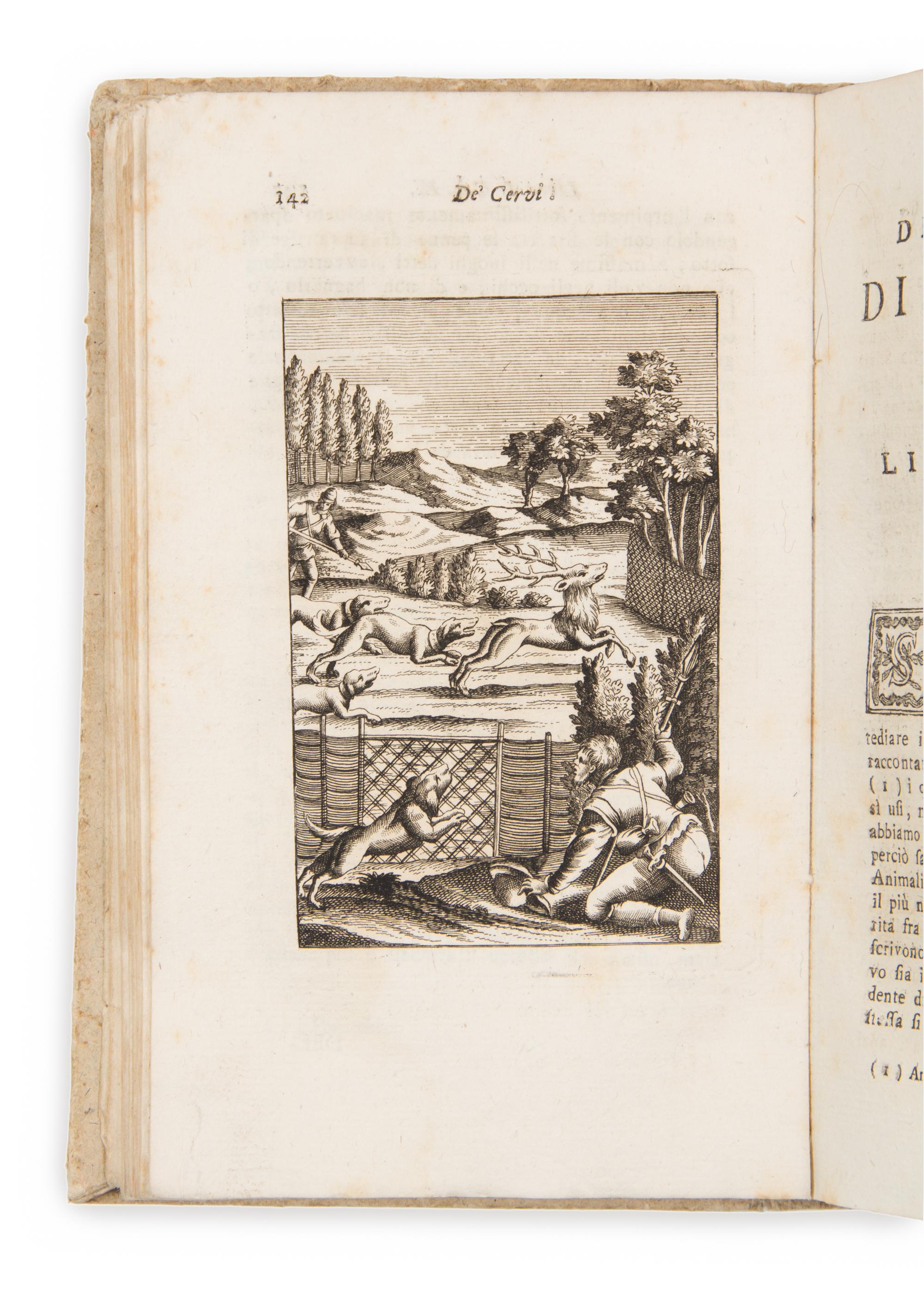 RAIMONDI, Eugenio. Le Caccie fiere armate e disarmate. Venice: Francesco Locatelli, 1785.