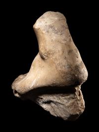 A Roman Marble Foot