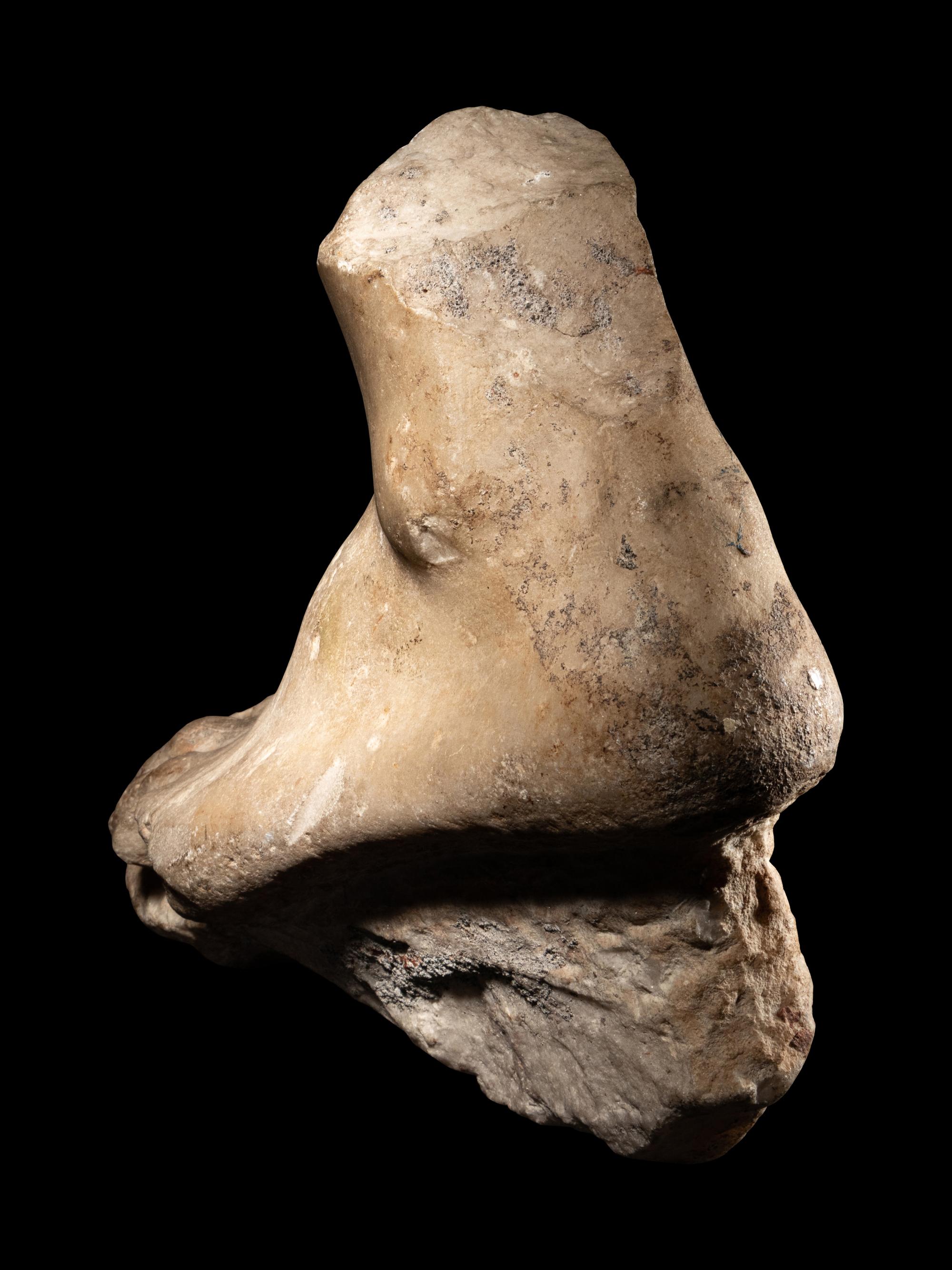 A Roman Marble Foot