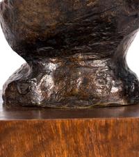 Head