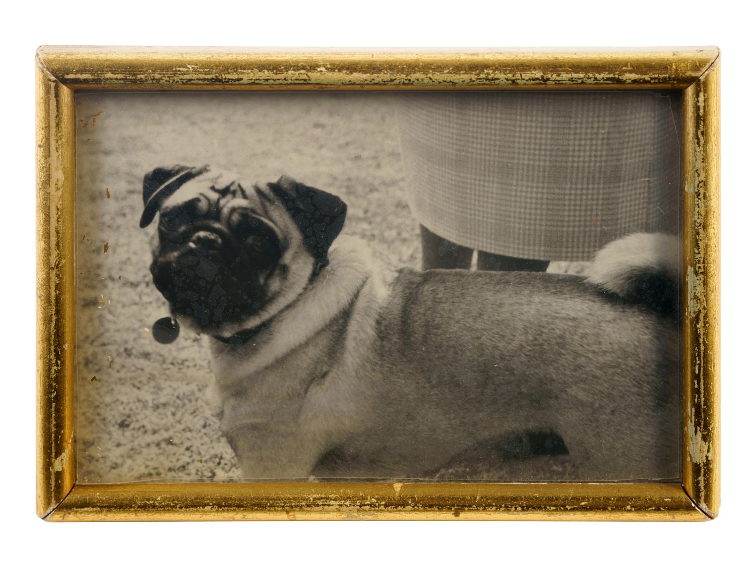 A Group of Duke and Duchess of Windsor Pug Related Items