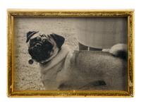 A Group of Duke and Duchess of Windsor Pug Related Items