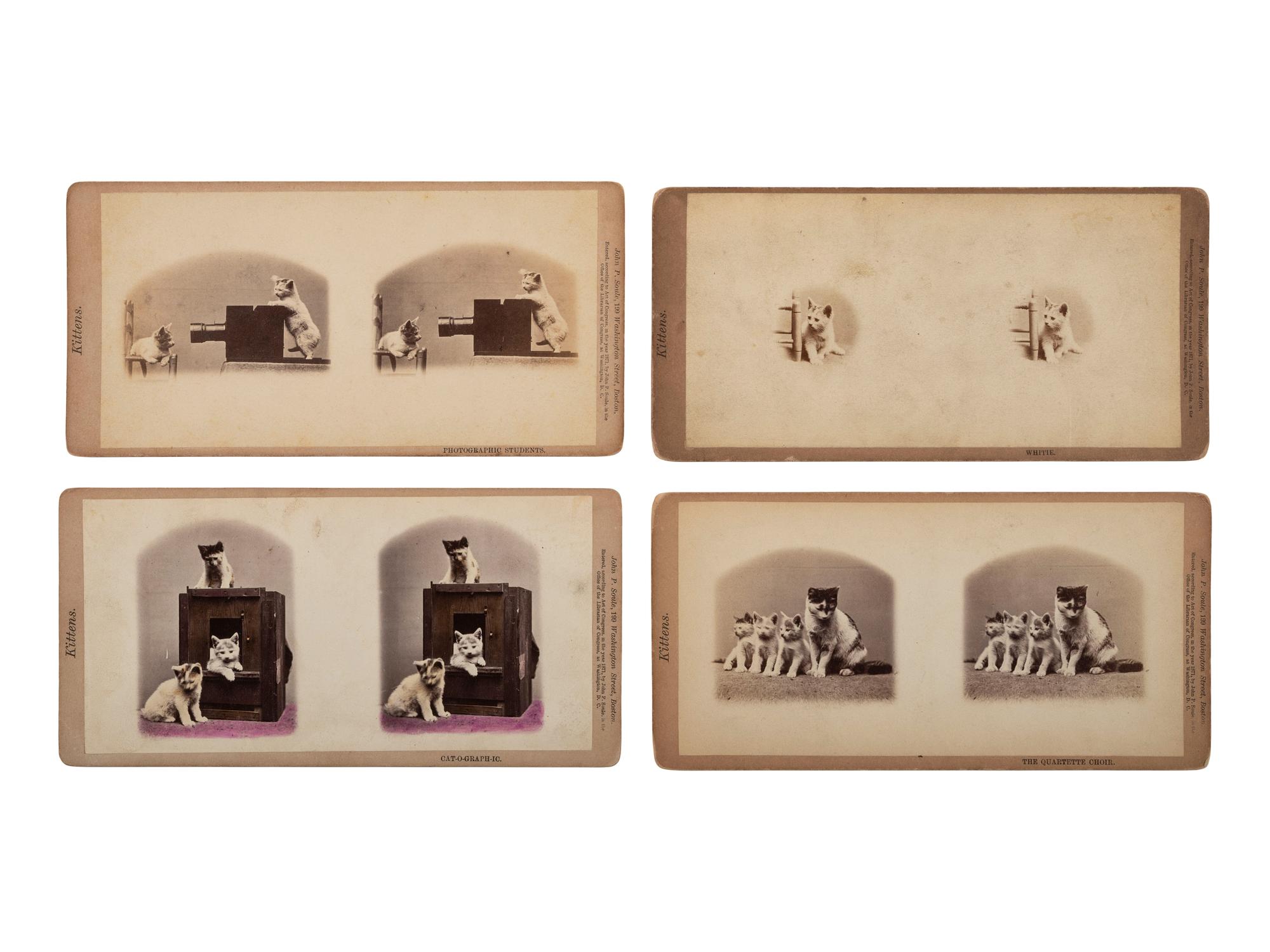 [EARLY PHOTOGRAPHY]. SOULE, John P. (1828-1904), photographer. 16 stereoviews of cats from the "Kittens" and "Kitty" series. Boston, MA: 1871.