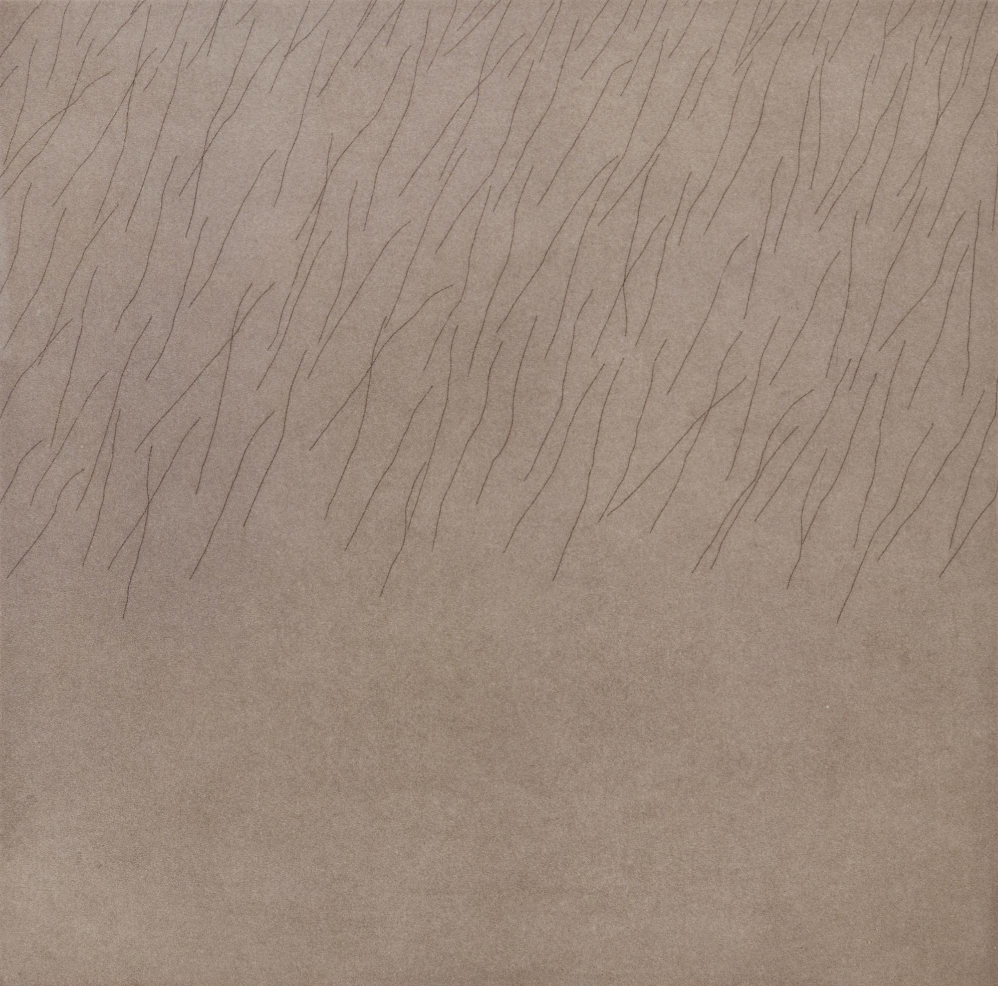 Overtones (Suite of 5)