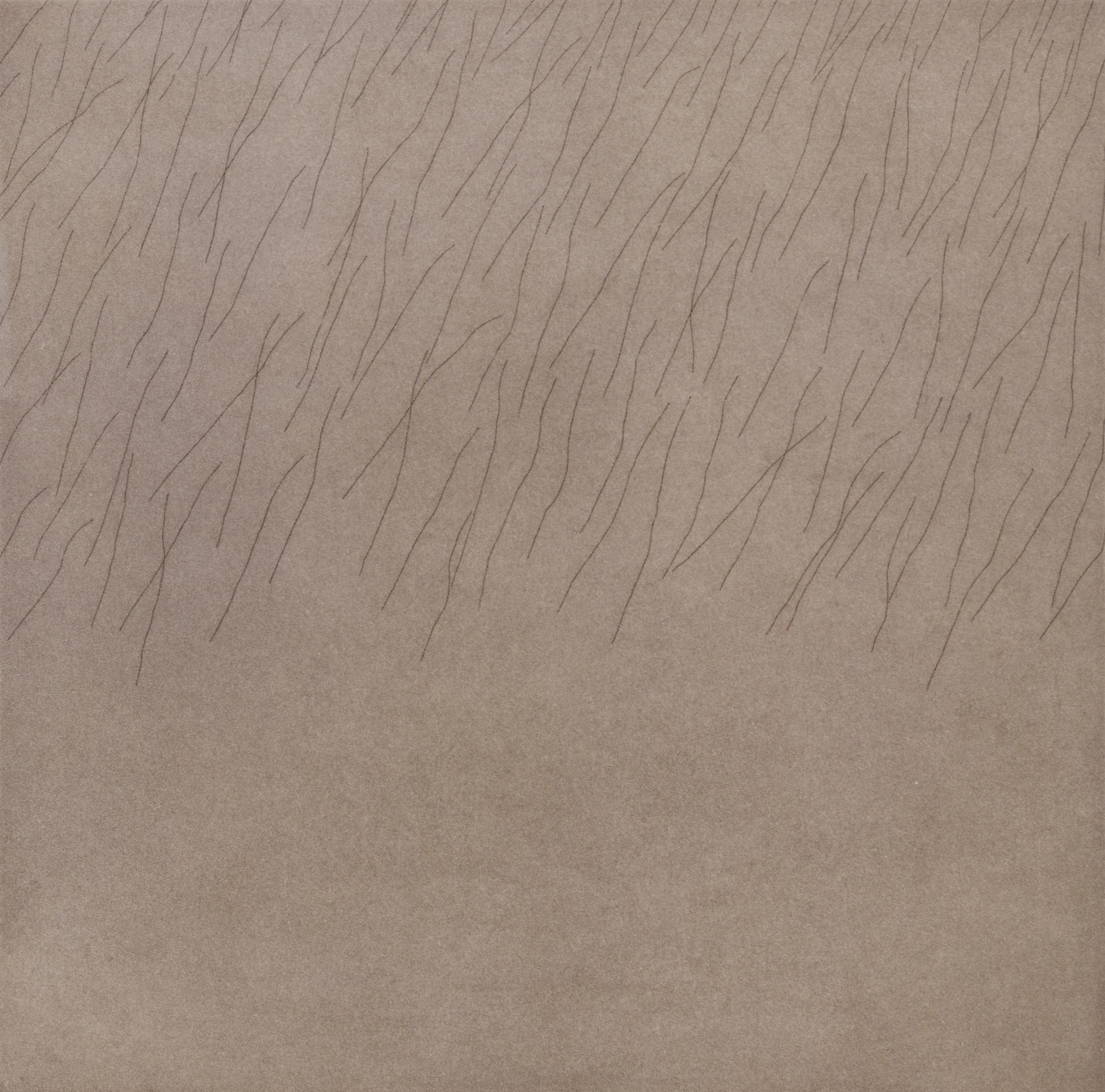 Overtones (Suite of 5)
