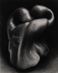 Pepper No. 30, 1930