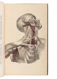 QUAIN, Jones (1796-1865), and William James Erasmus WILSON (1809-1884), editors. The Vessels of the Human Body; In a Series of Plates, with References and Physiological Comments . London: Taylor and Walton, 1837.