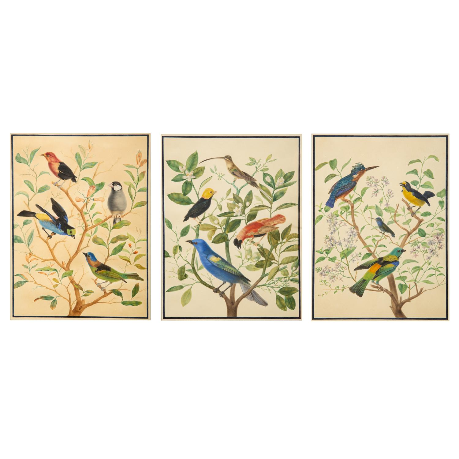 A Group of Three Framed Gouache Illustrations of Birds