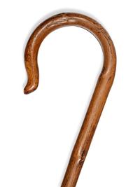 A Group of Three Walking Sticks