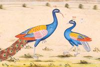 Four Indian and Islamic Miniature Paintings Depicting Birds