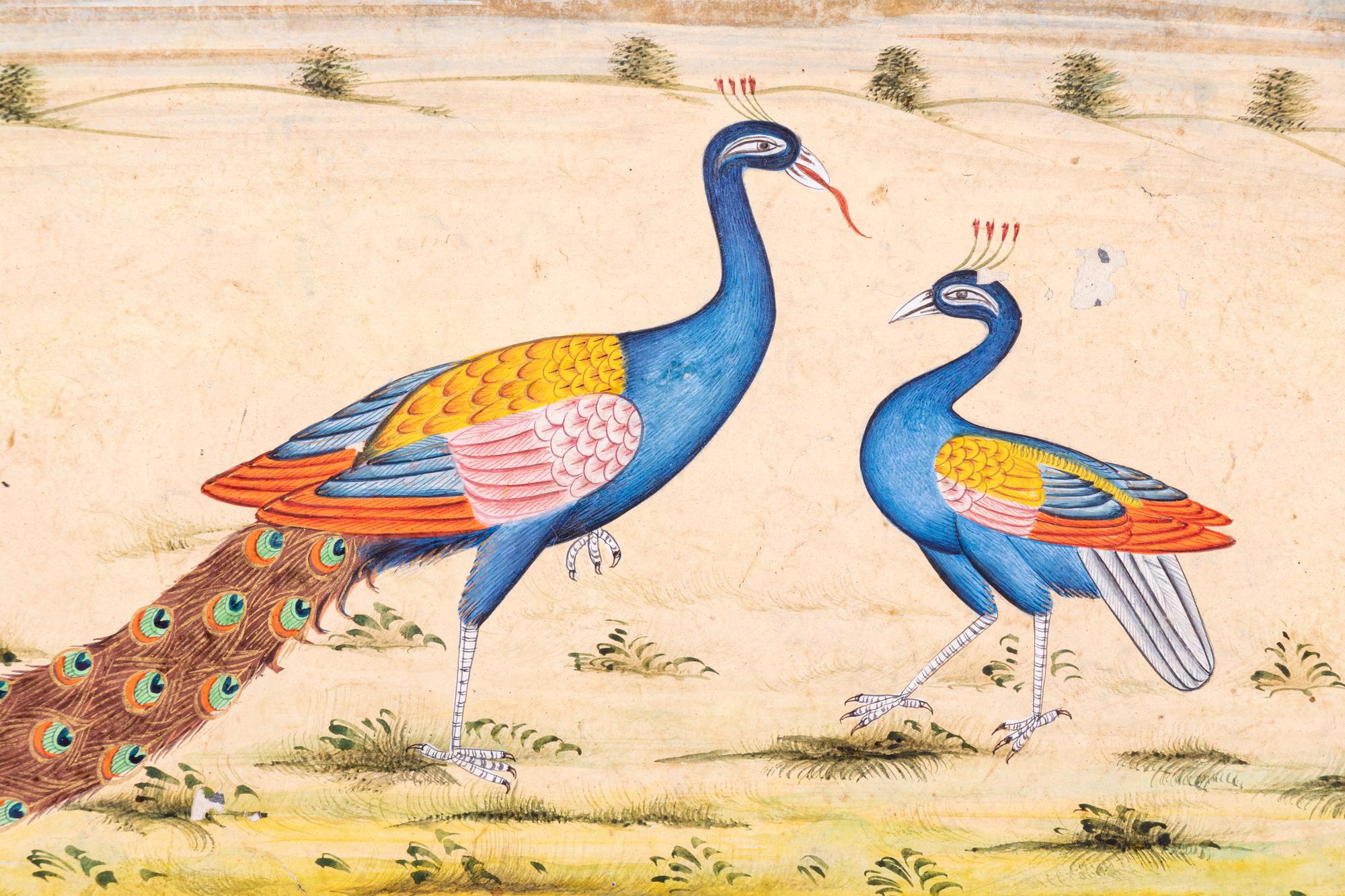 Four Indian and Islamic Miniature Paintings Depicting Birds
