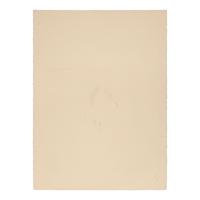 Jaune Quick-to-See Smith (Confederated Salish/Kootenai, 1940-2025) — Untitled