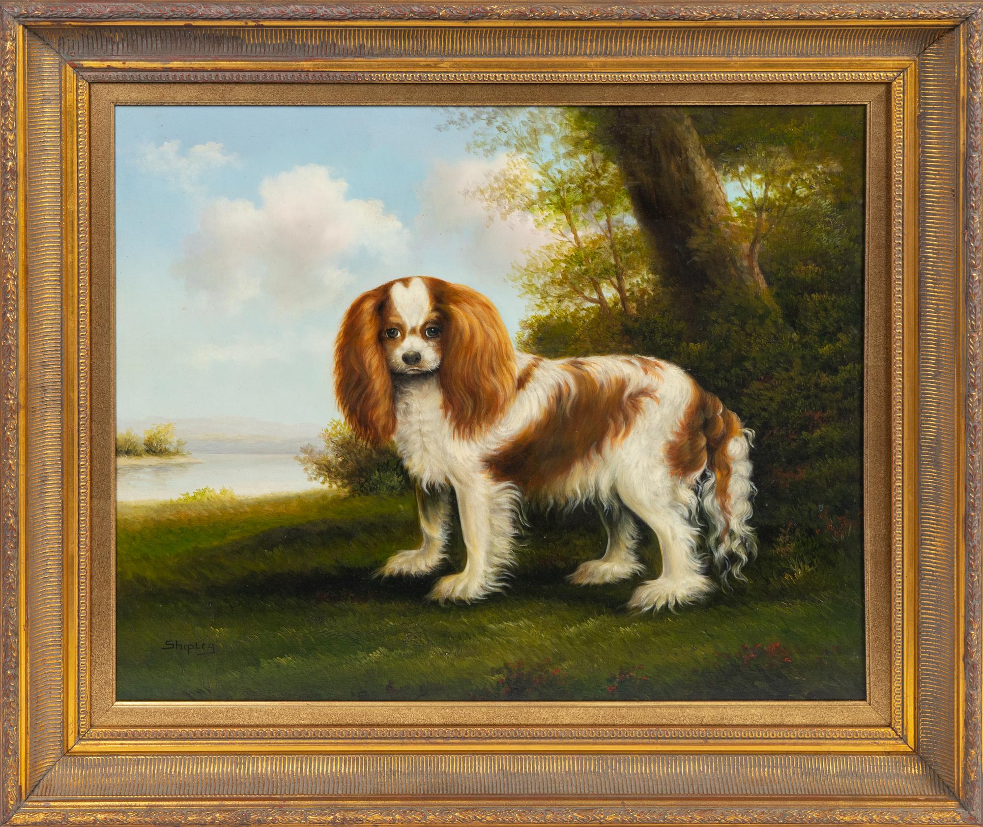 King Charles Cocker Spaniel