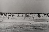 Sebastião Salgado (born 1944) This used to be the large Lake Faguibine. It dried up little by little with the drought and invasion of the desert. All the men have gone, only the children, the elderly and the women remain, Mali, 1985