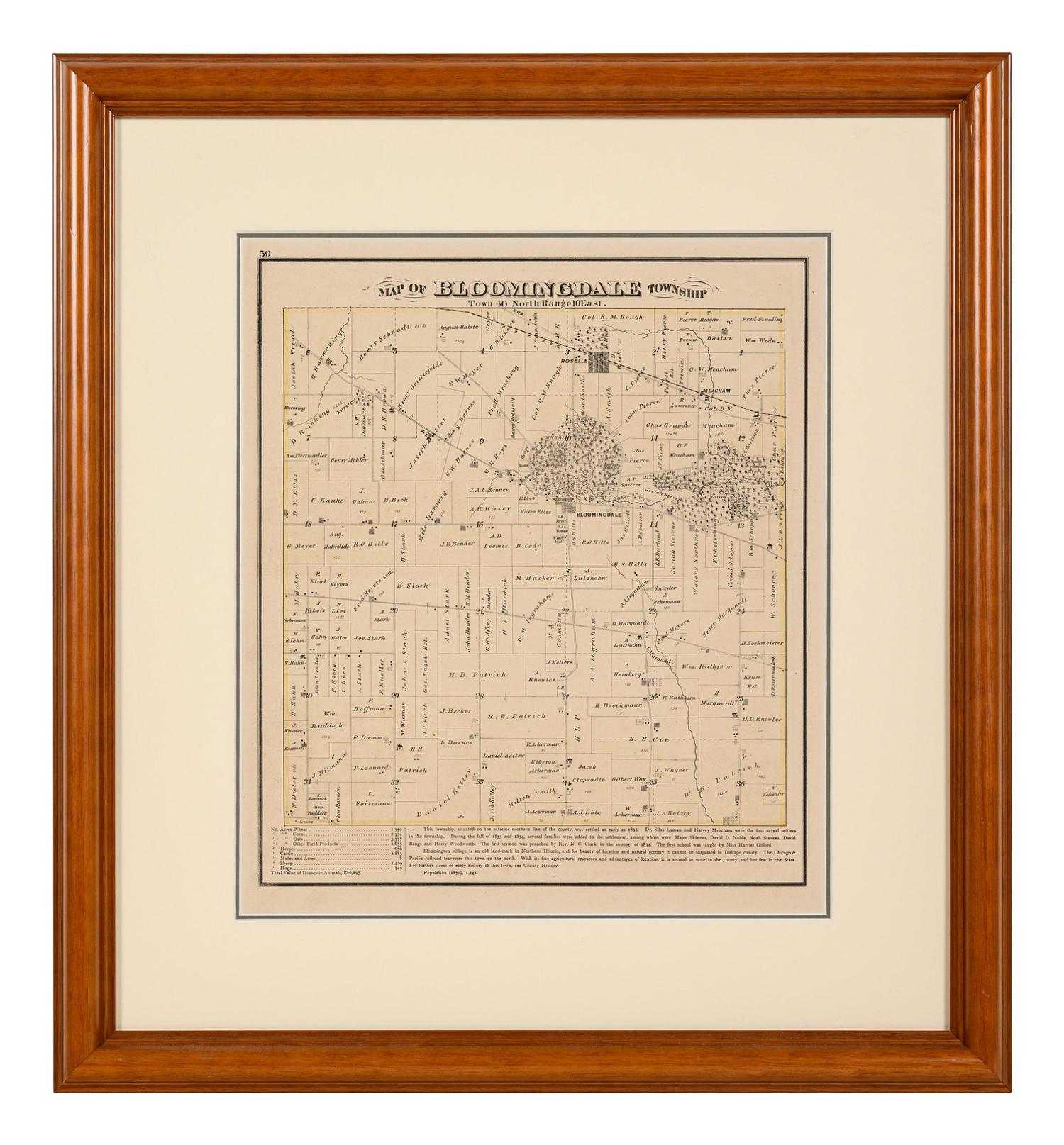 A Group of Twelve Maps of Illinois