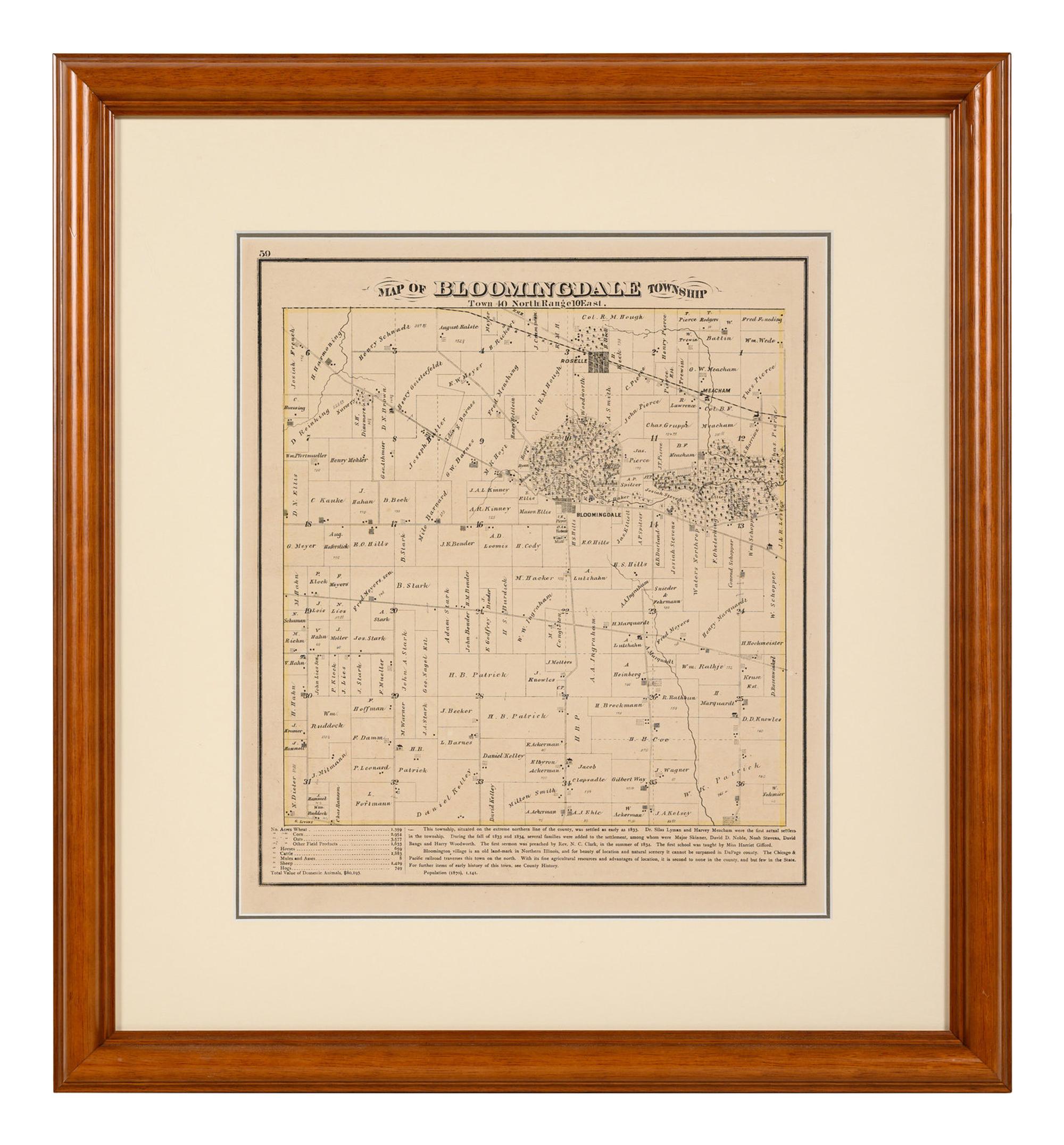 A Group of Twelve Maps of Illinois