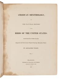 Wilson, Alexander. American Ornithology; or, The Natural History of the Birds of the United States . (With) Bonaparte, Charles Lucian. American Ornithology; Or, the Natural History of Birds Inhabiting the United States. Not Given by Wilson ...