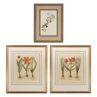 A Group of Three Prints
