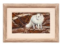 Arctic Fox