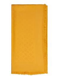 Louis Vuitton Shawl