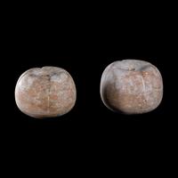 A Pair of Canosan Terracotta Quinces