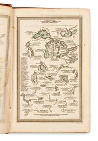 [ATLAS]. CAREY, Henry Charles and Isaac LEA. The Geographical Annual, for 1834. Family Cabinet Atlas. Philadelphia, 1834