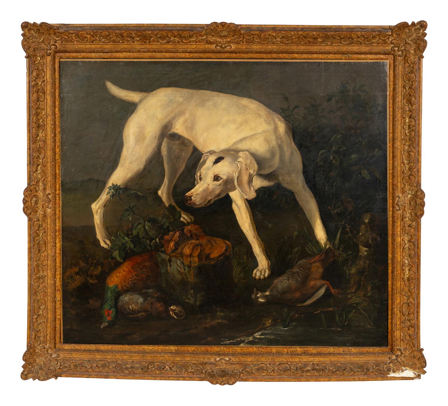 A Pointer Besides Hunting Trophies