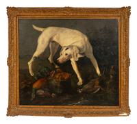 A Pointer Besides Hunting Trophies