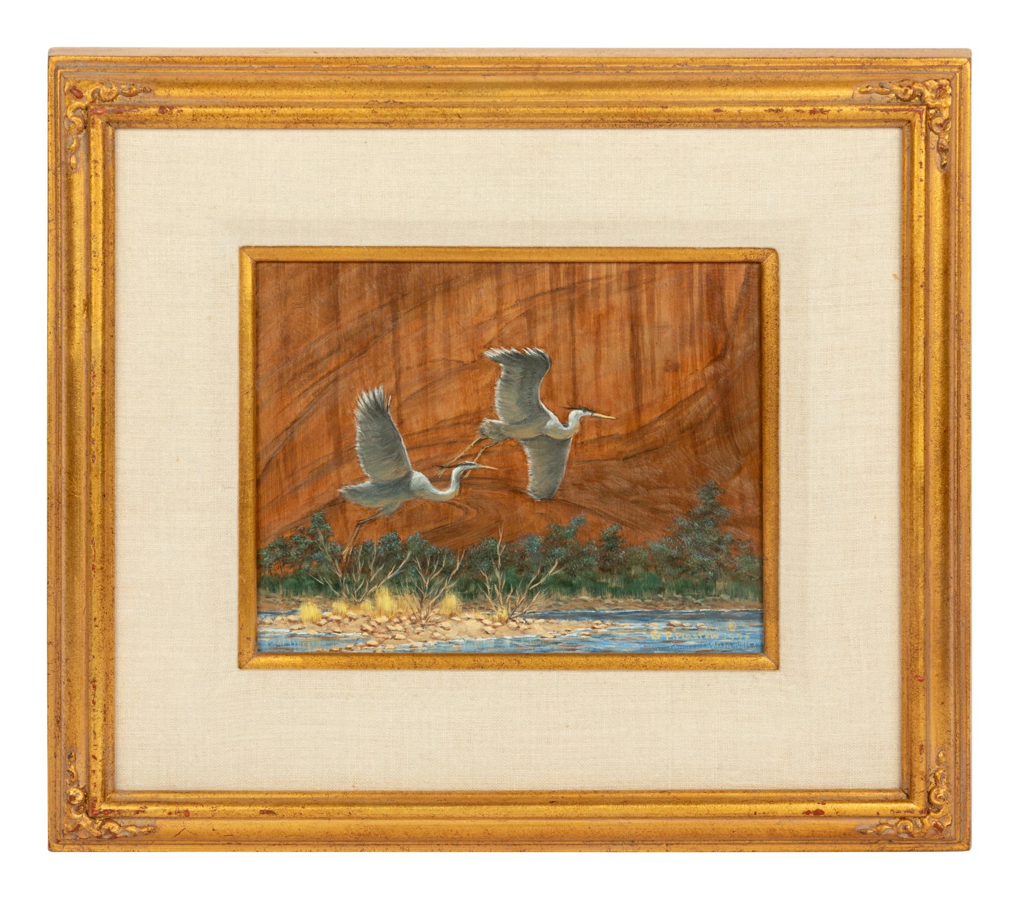 Canyon Fight , 1995