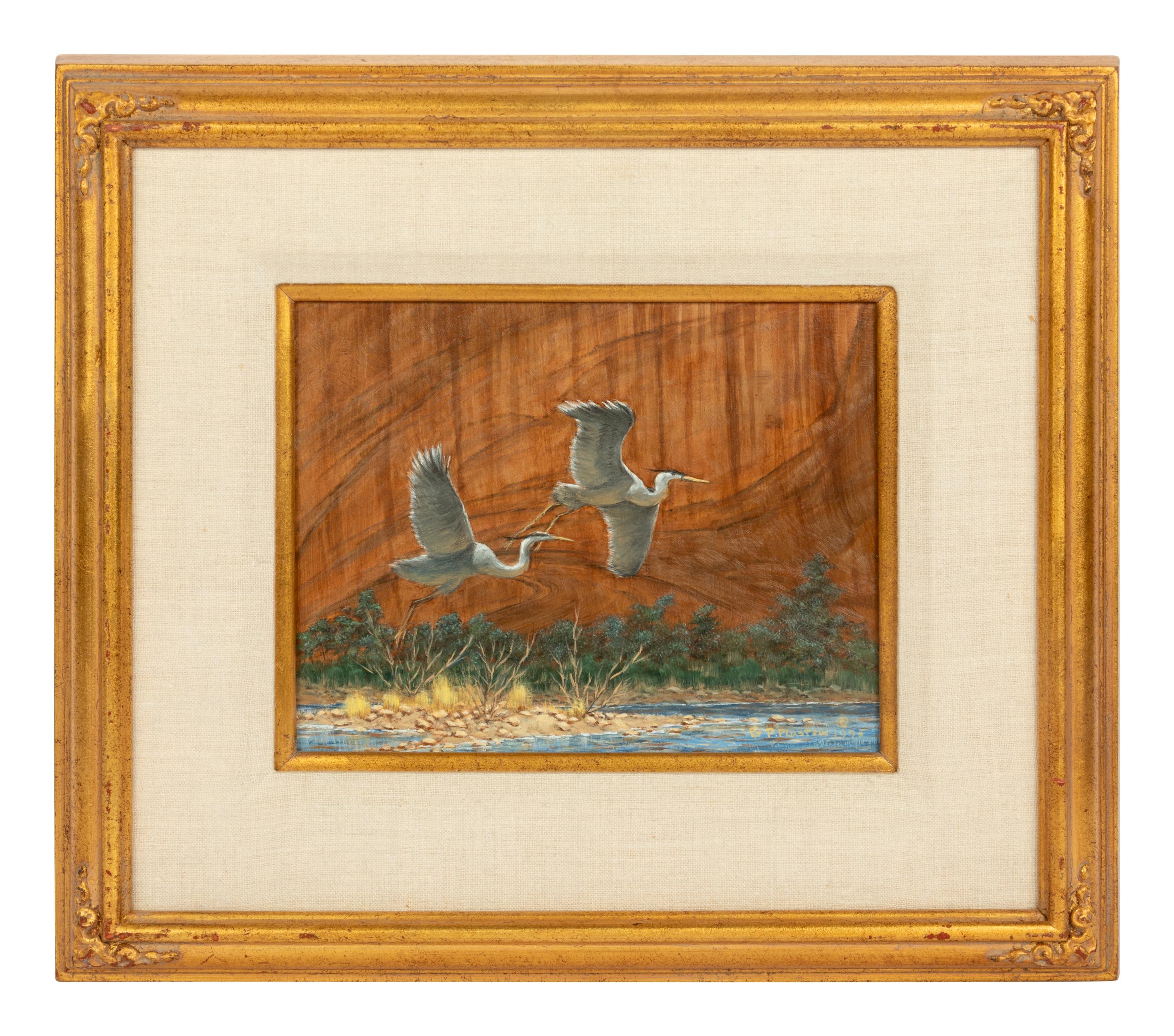 Canyon Fight , 1995