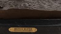 Bronco Buster