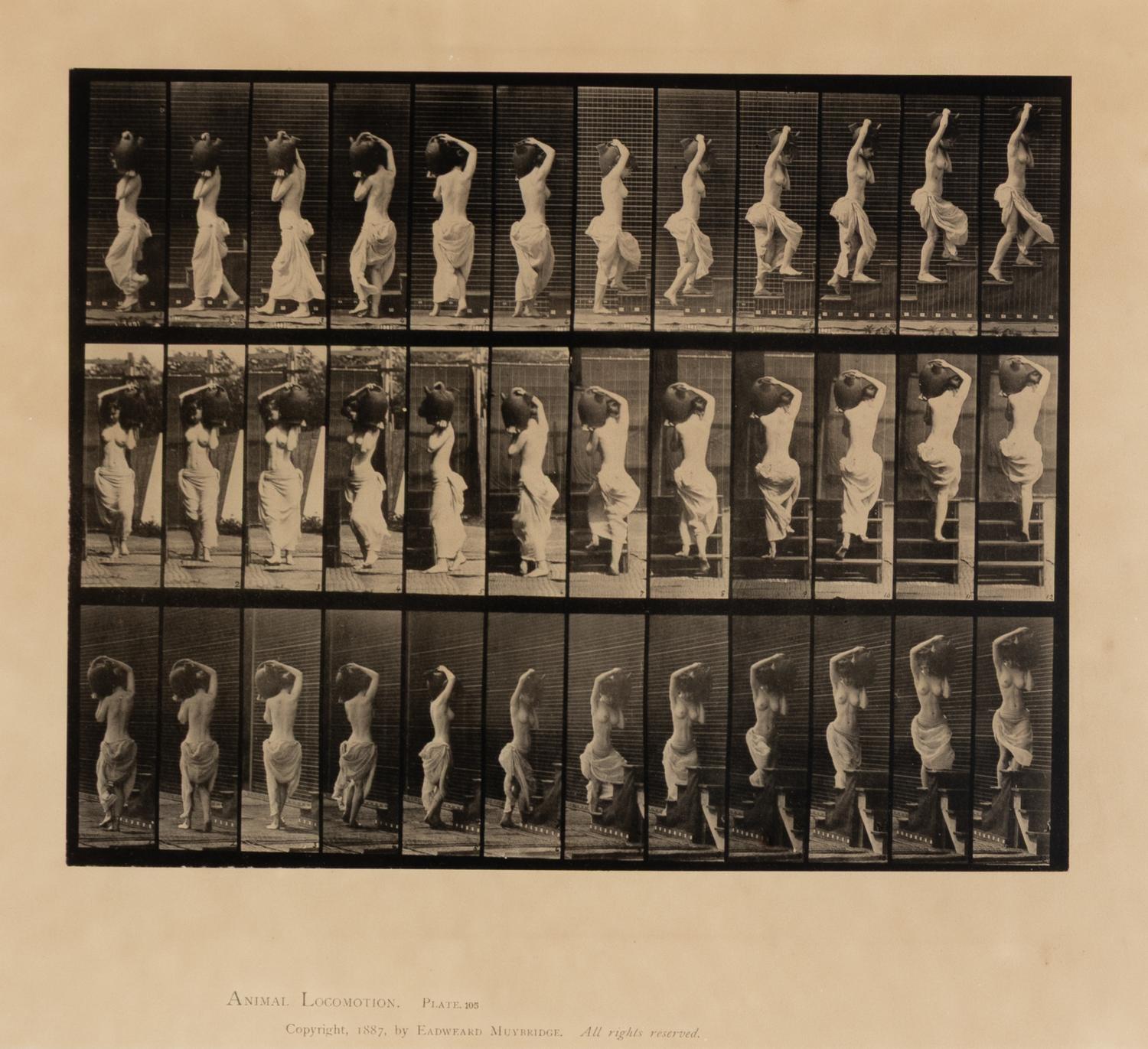 Muybridge, Eadweard (1830-1904). Animal Locomotion, plate 105 . Philadelphia, 1887.