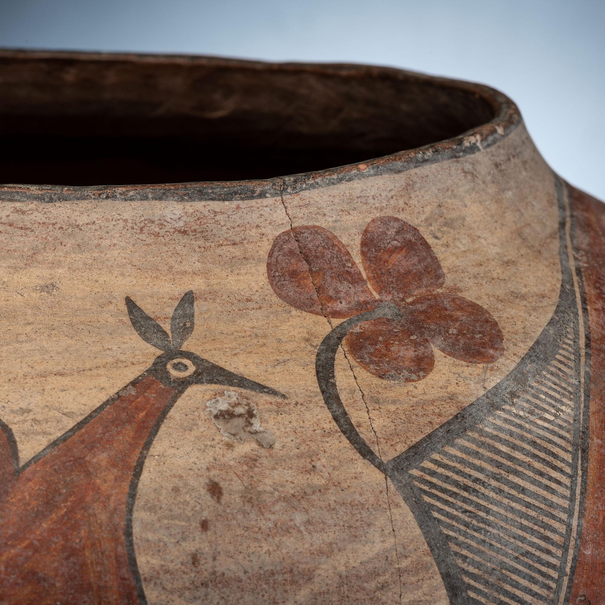Zia Polychrome Pottery Olla