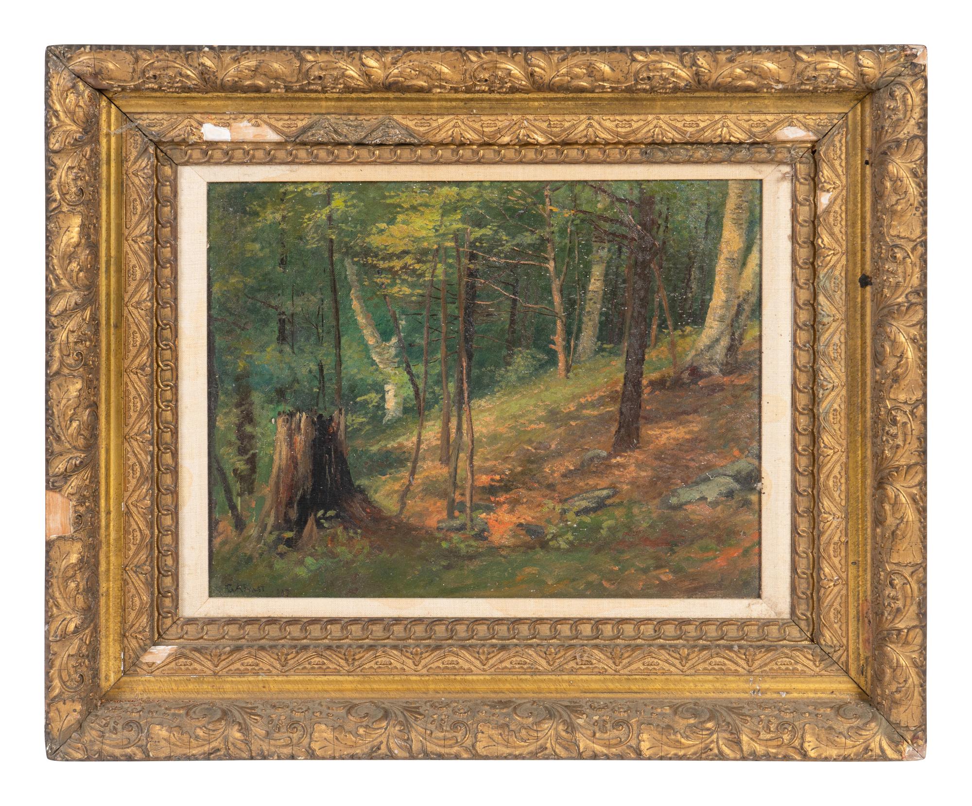 Forest Scene