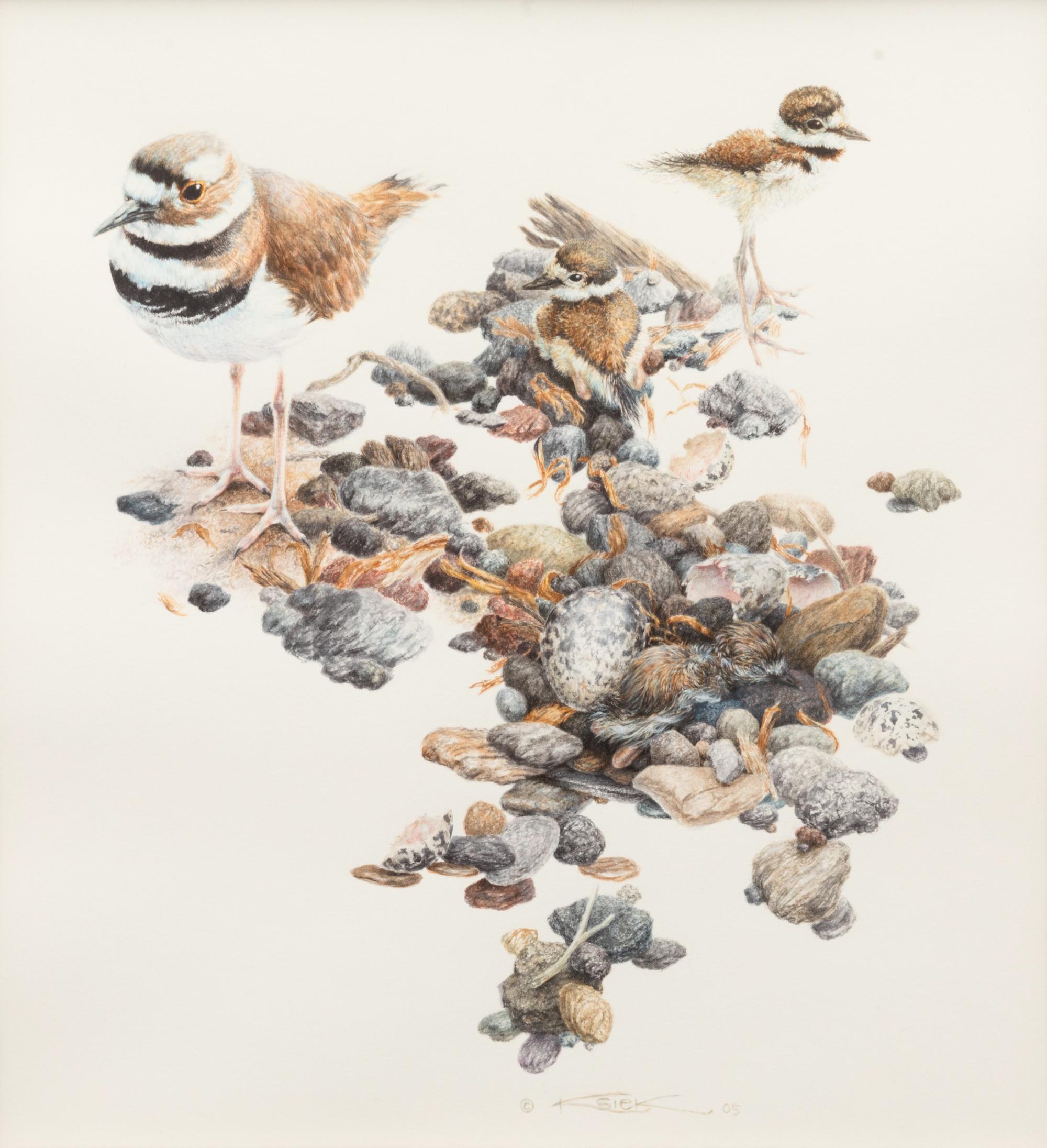 Painted Rocks Hatching , 2005