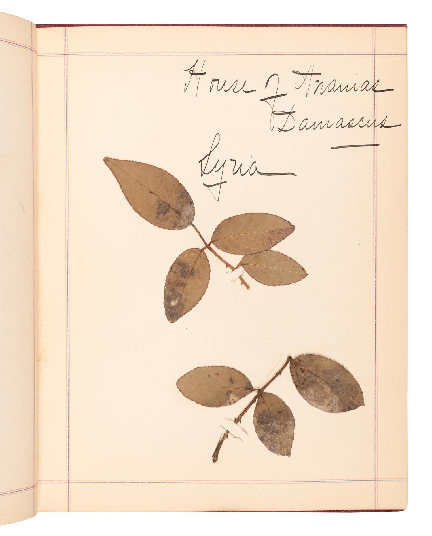 [SPECIMEN ALBUMS]. A group of 3 specimen albums with samples collected from The Holy Land, Greece and Southern Italy Great Britain, Denmark, Switzerland, Germany and France; and Egypt and Palestine. Ca 1890s.